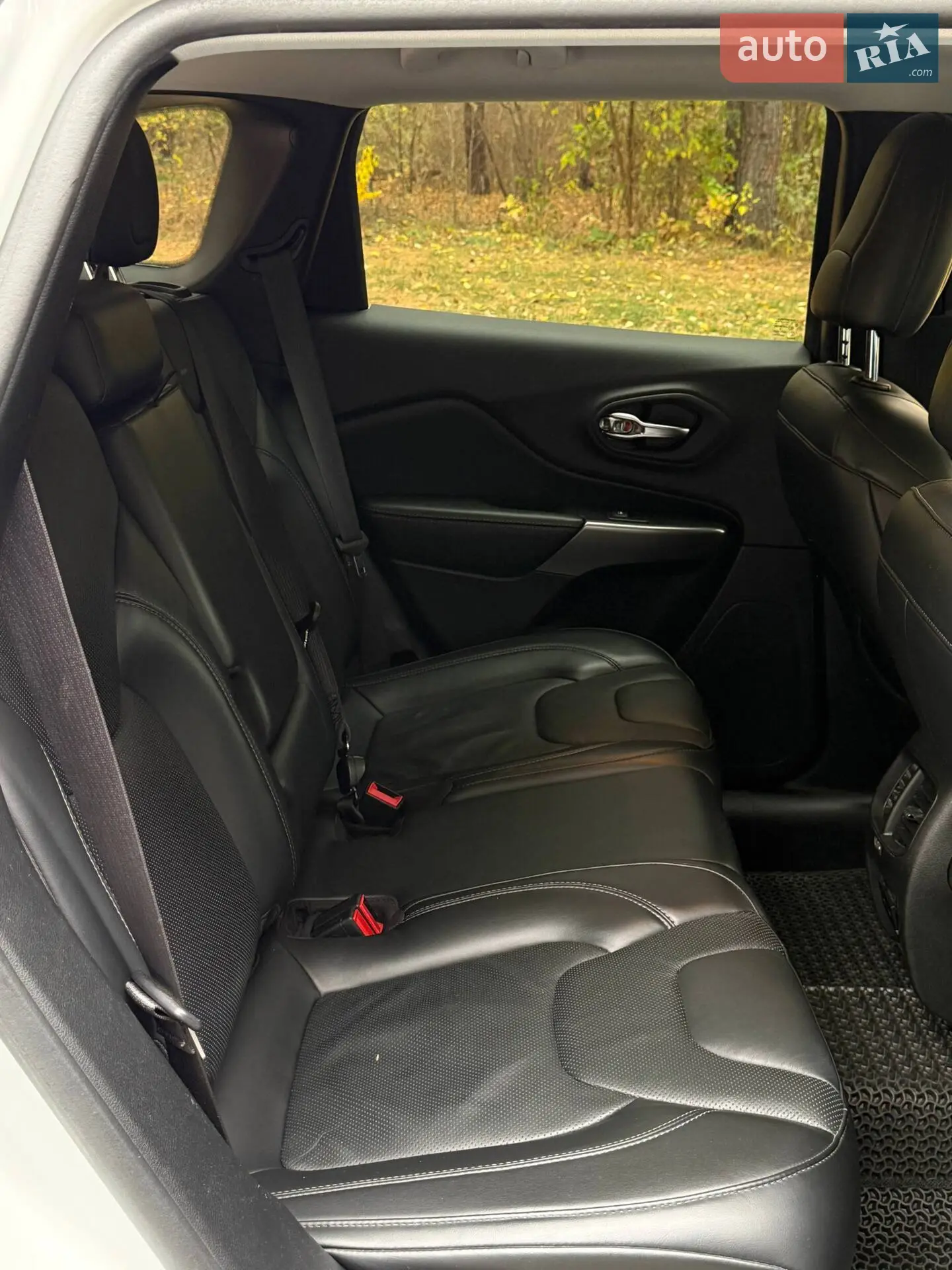 2019 Jeep Cherokee - мініатюра 41