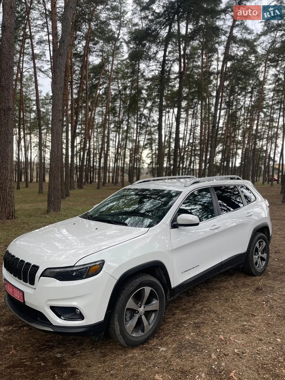 2019 Jeep Cherokee - мініатюра 13