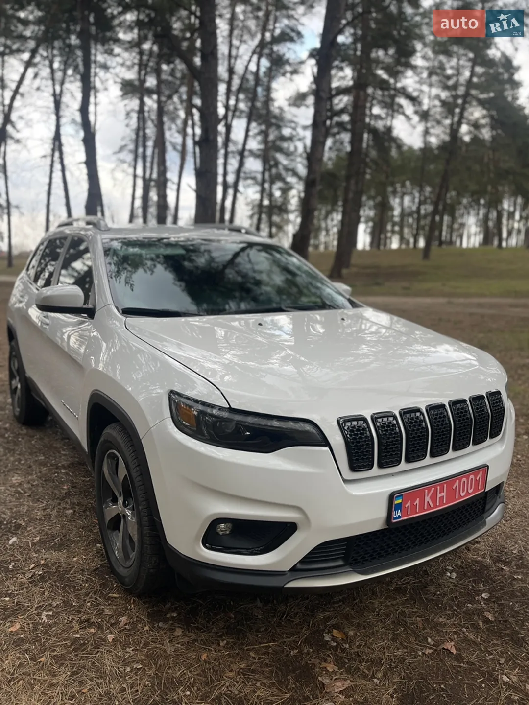 2019 Jeep Cherokee - мініатюра 25