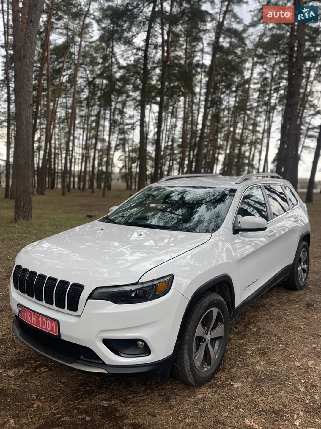 2019 Jeep Cherokee - мініатюра 28