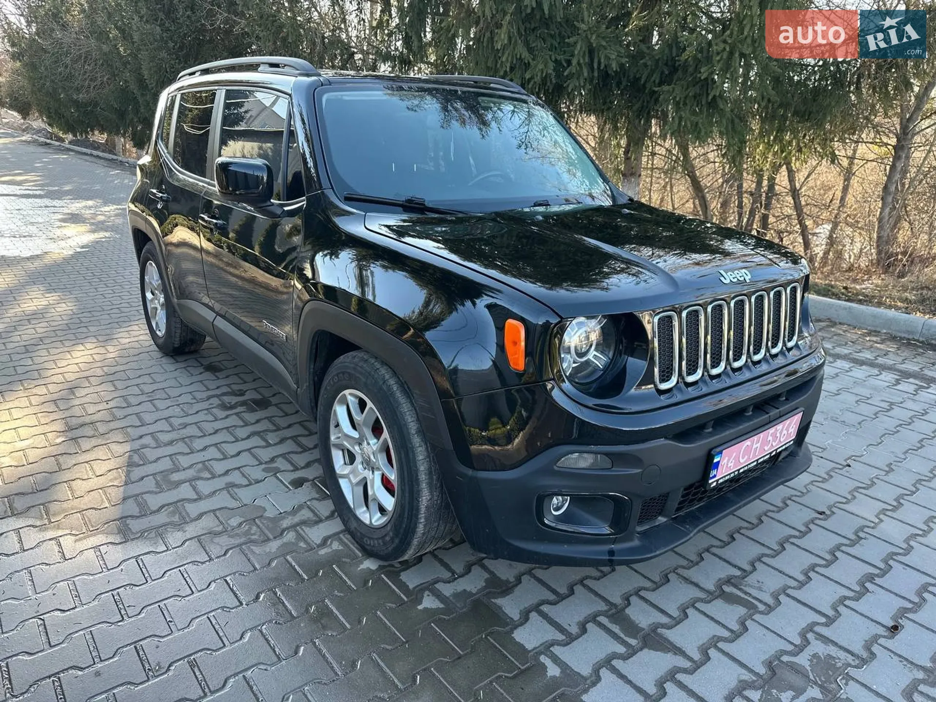 2017 Jeep Renegade - мініатюра 20