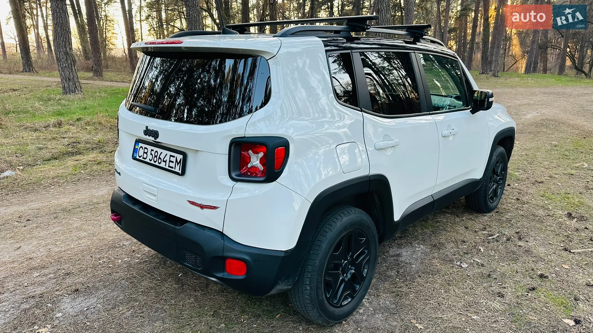2018 Jeep Renegade - мініатюра 6
