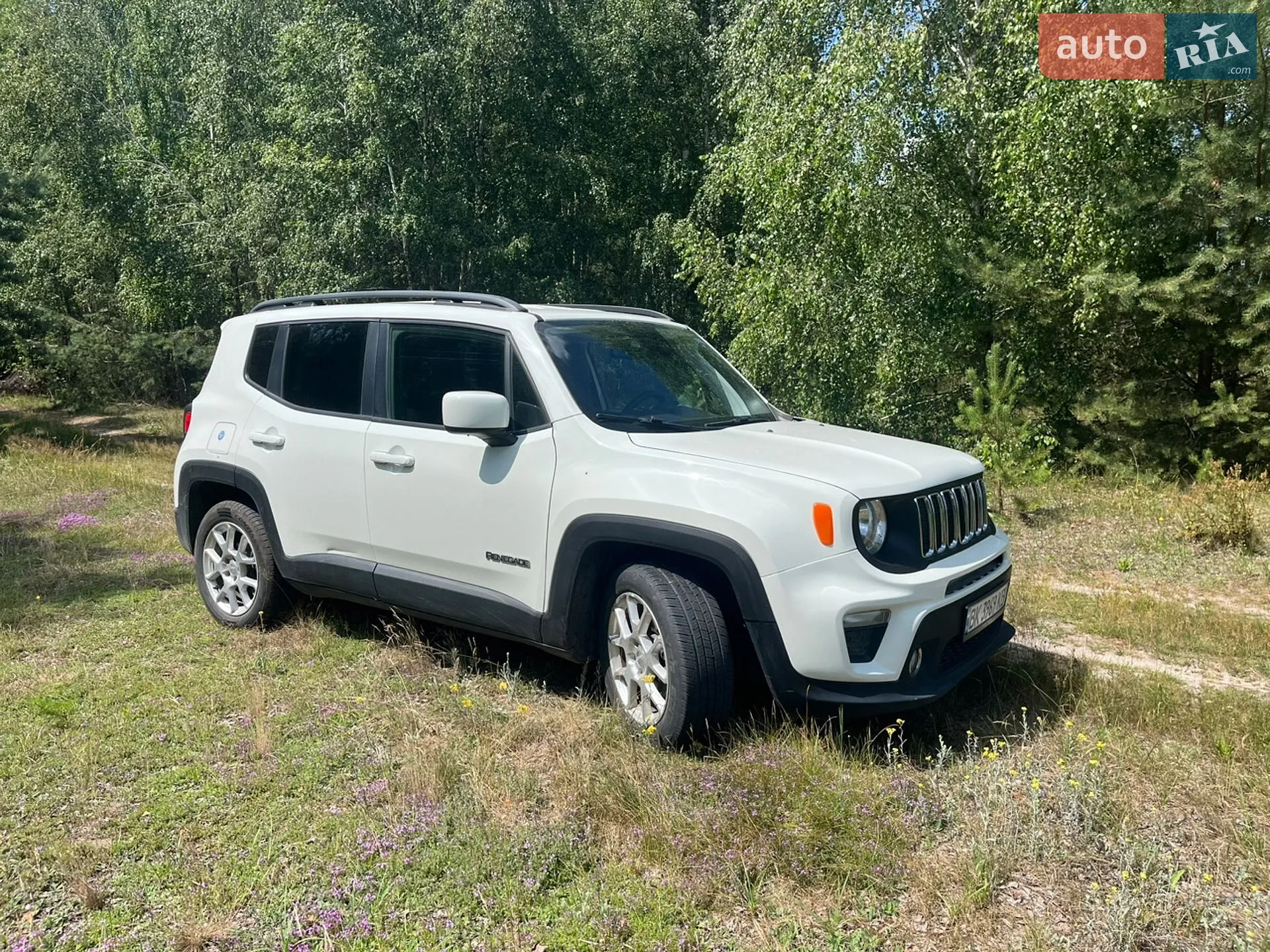 2019 Jeep Renegade - мініатюра 3