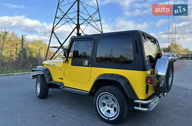 Внедорожник / Кроссовер Jeep Wrangler 1994 в Львове