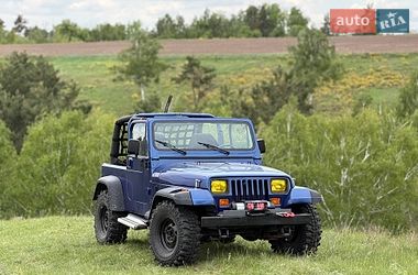 Внедорожник / Кроссовер Jeep Wrangler 1994 в Василькове