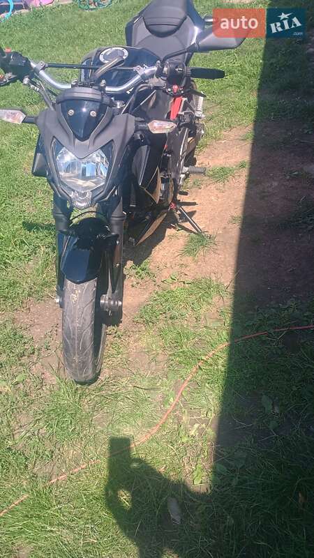 Мотоцикл Без обтікачів (Naked bike) Kawasaki 250 2018 в Чернівцях