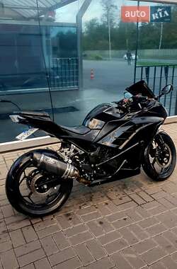 Мотоцикл Спорт-туризм Kawasaki EX 300 2013 в 