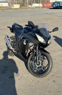 Грузовые мотороллеры, мотоциклы, скутеры, мопеды Kawasaki Ninja 300 2013 в 