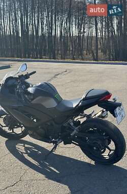 Грузовые мотороллеры, мотоциклы, скутеры, мопеды Kawasaki Ninja 300 2013 в 