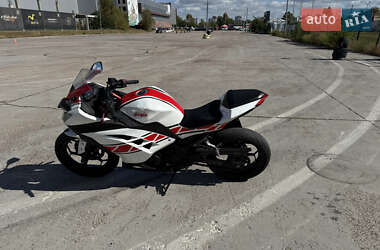 Спортбайк Kawasaki Ninja 300 2016 в 