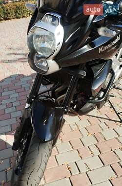 Мотоцикл Багатоцільовий (All-round) Kawasaki Versys 650 2010 в 