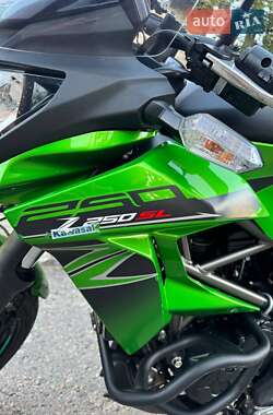 Спортбайк Kawasaki Z 250SL 2016 в Дніпрі