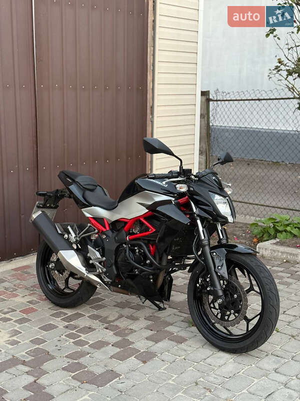 Kawasaki Z 250SL 2018 Kawasaki Z 250SL 2018