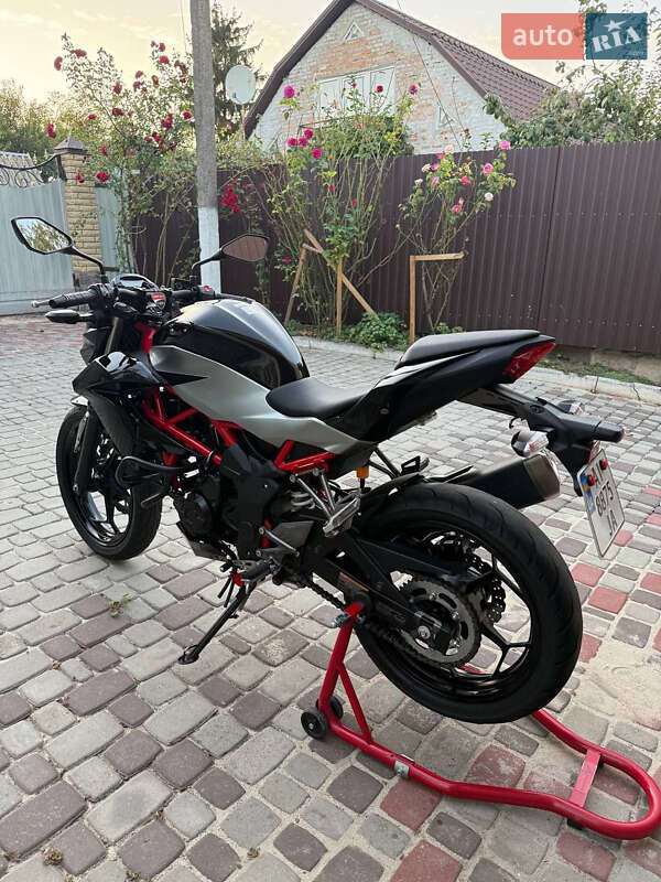 Грузовые мотороллеры, мотоциклы, скутеры, мопеды Kawasaki Z 250SL 2018 в Узине