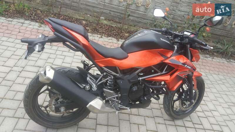 Мотоцикл Без обтекателей (Naked bike) Kawasaki Z 250SL 2016 в 