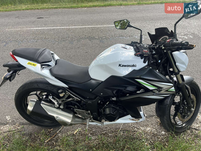 Мотоцикл Без обтікачів (Naked bike) Kawasaki Z 2014 в Кагарлику