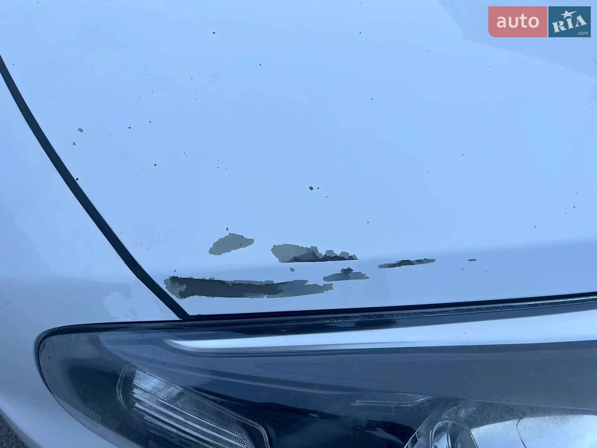 2016 Kia Carens - мініатюра 16