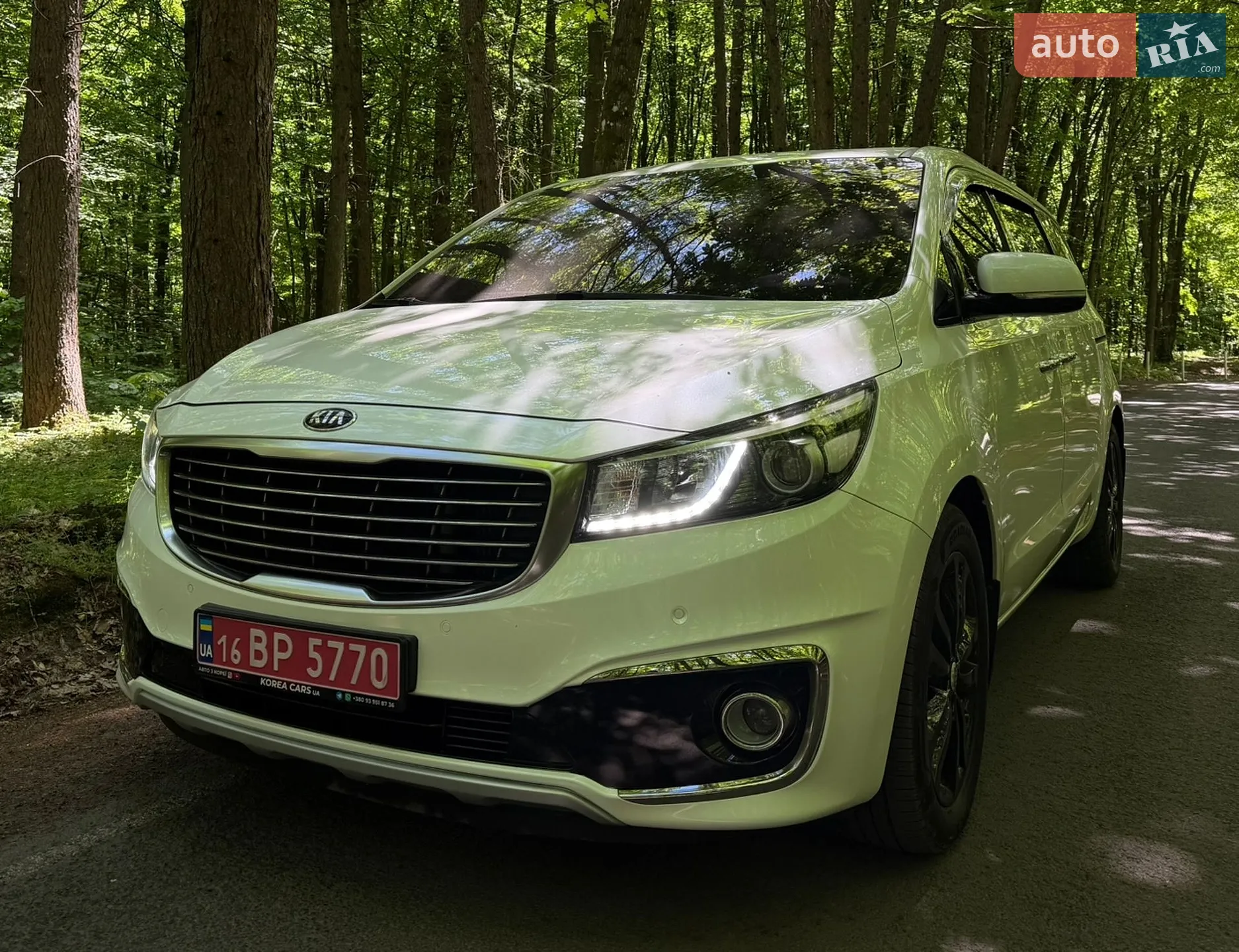 2018 Kia Carnival - мініатюра 11