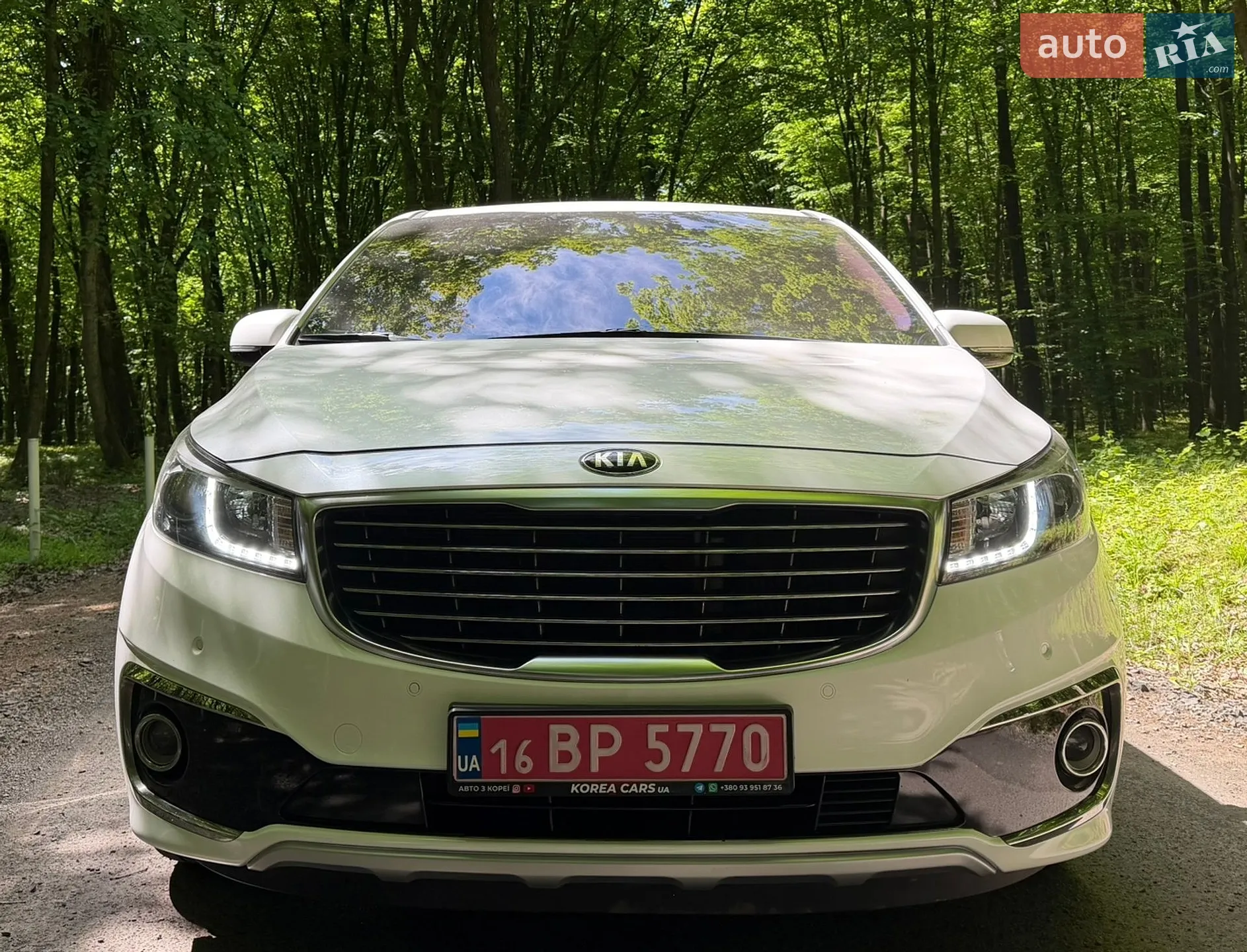2018 Kia Carnival - мініатюра 12