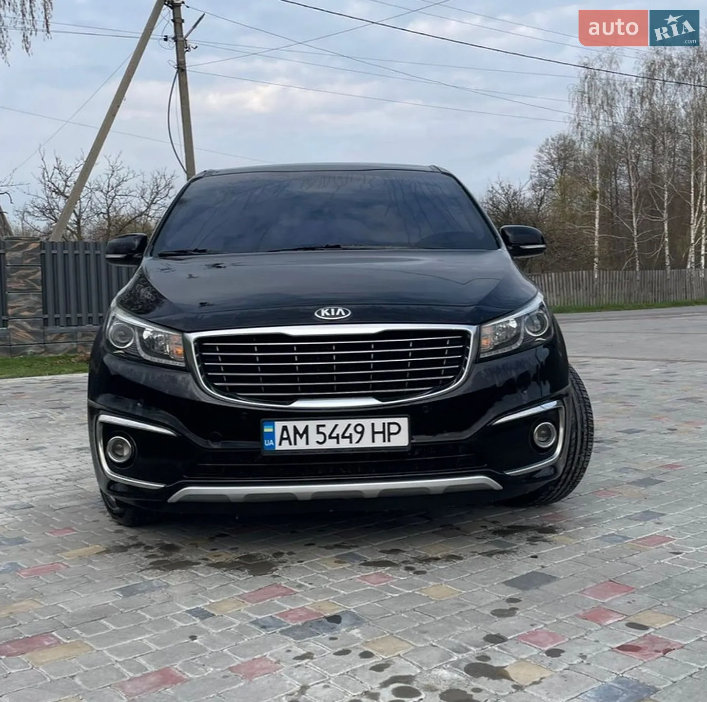 2016 Kia Carnival - мініатюра 3