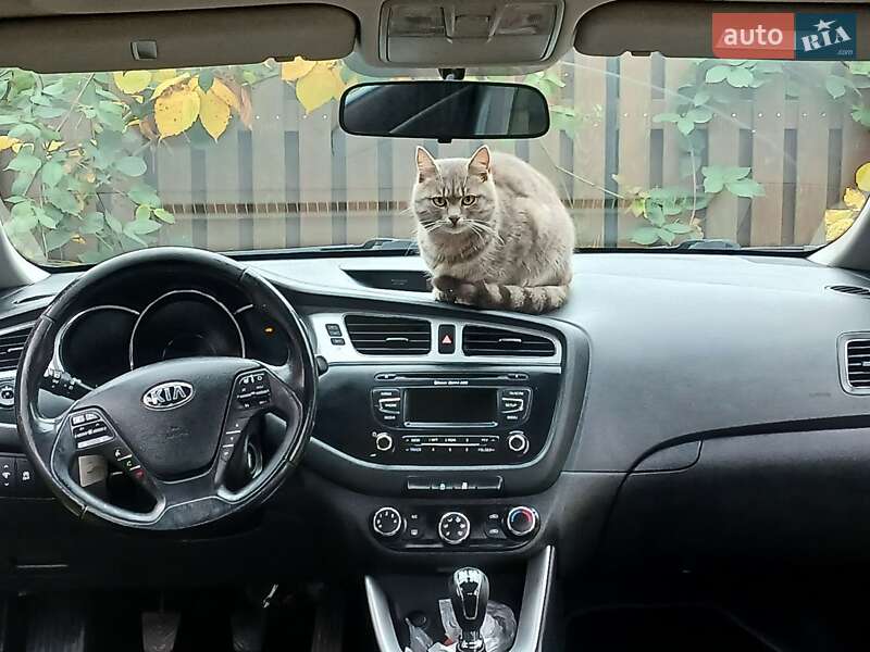 Универсал Kia Ceed 2013 в Сарнах фото 24 Универсал Kia Ceed 2013 в Сарнах