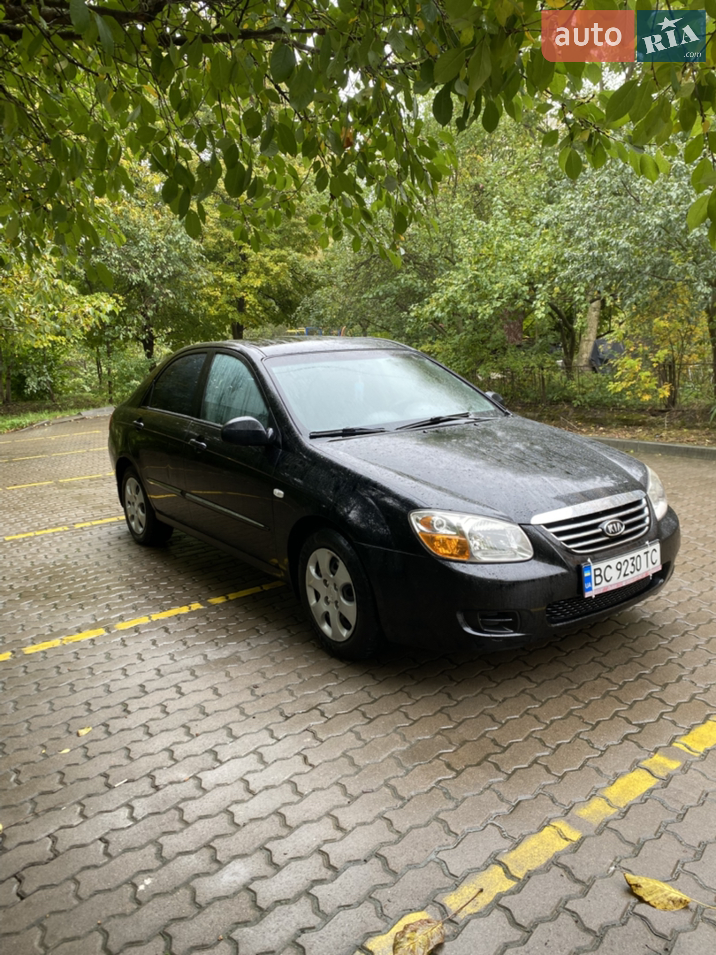 Фото авто 12