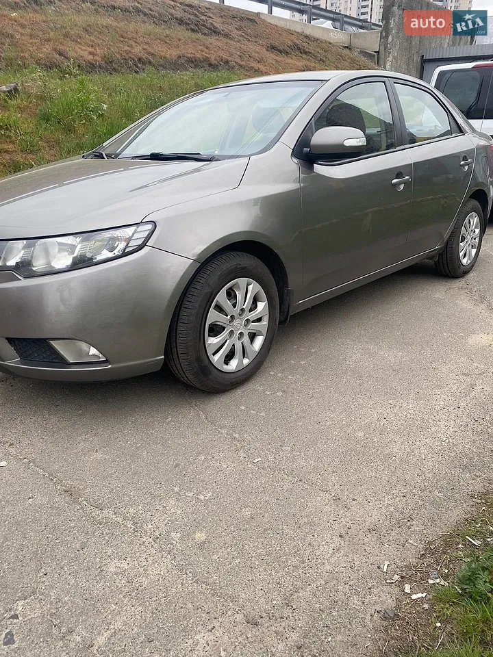 2010 Kia Cerato - мініатюра 8