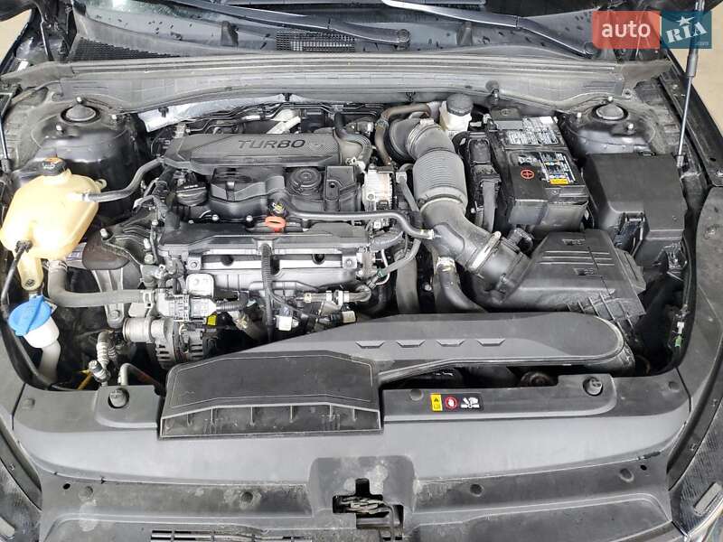 Седан Kia K5 2024 в Львове фото 11 Седан Kia K5 2024 в Львове