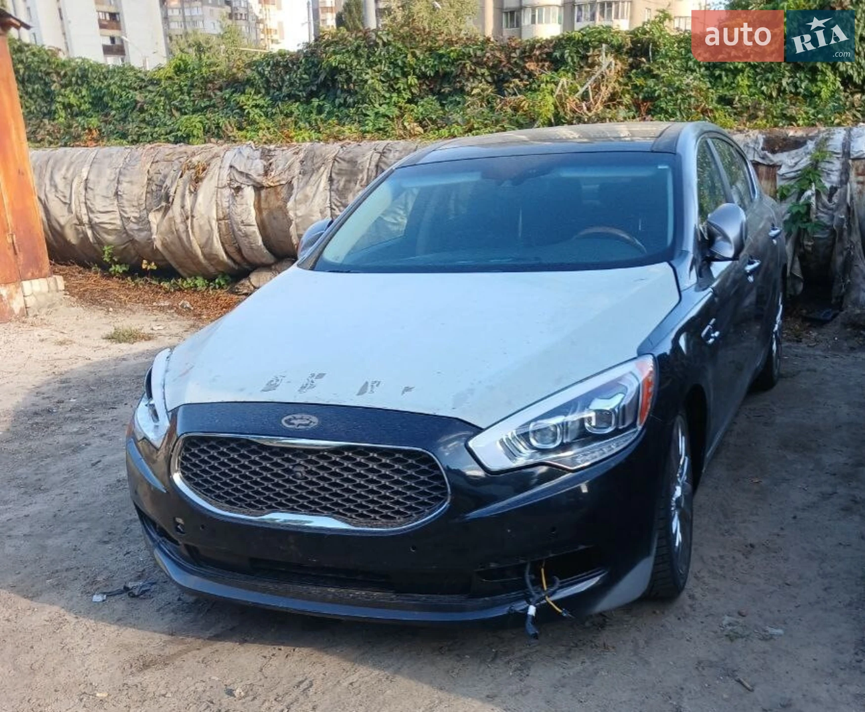 2015 Kia K900 - фото 1