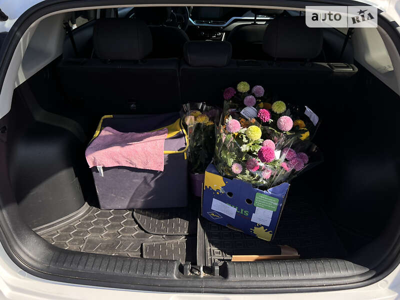 Внедорожник / Кроссовер Kia Niro 2019 в Киеве фото 16 Внедорожник / Кроссовер Kia Niro 2019 в Киеве