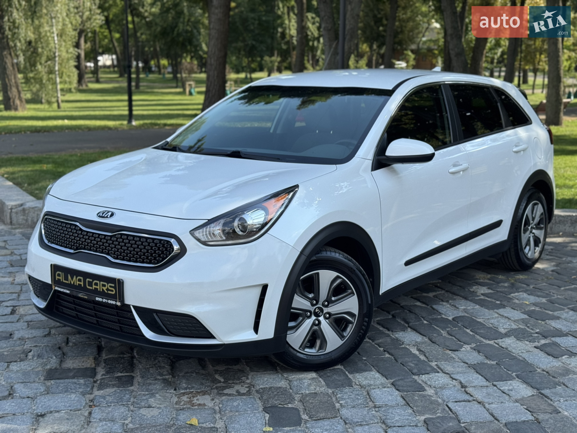 2017 Kia Niro - мініатюра 2