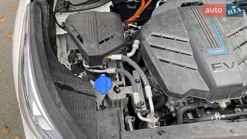 Внедорожник / Кроссовер Kia Niro 2021 в Киеве фото 43 Внедорожник / Кроссовер Kia Niro 2021 в Киеве