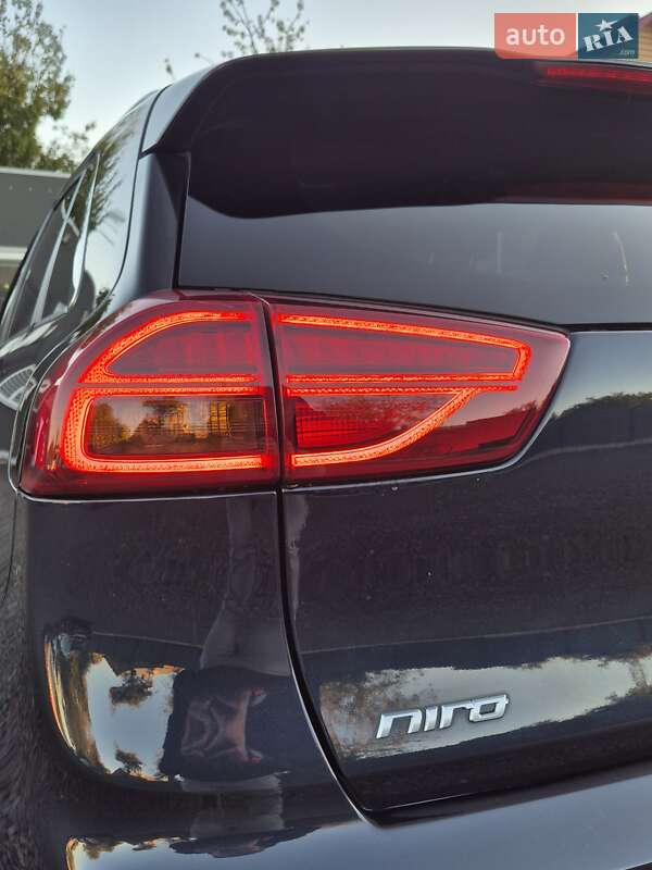 Позашляховик / Кросовер Kia Niro 2020 в Луцьку