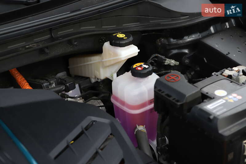 Внедорожник / Кроссовер Kia Niro 2020 в Дрогобыче