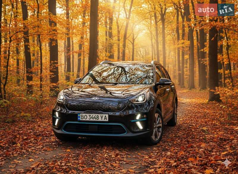 Внедорожник / Кроссовер Kia Niro 2020 в Гусятине