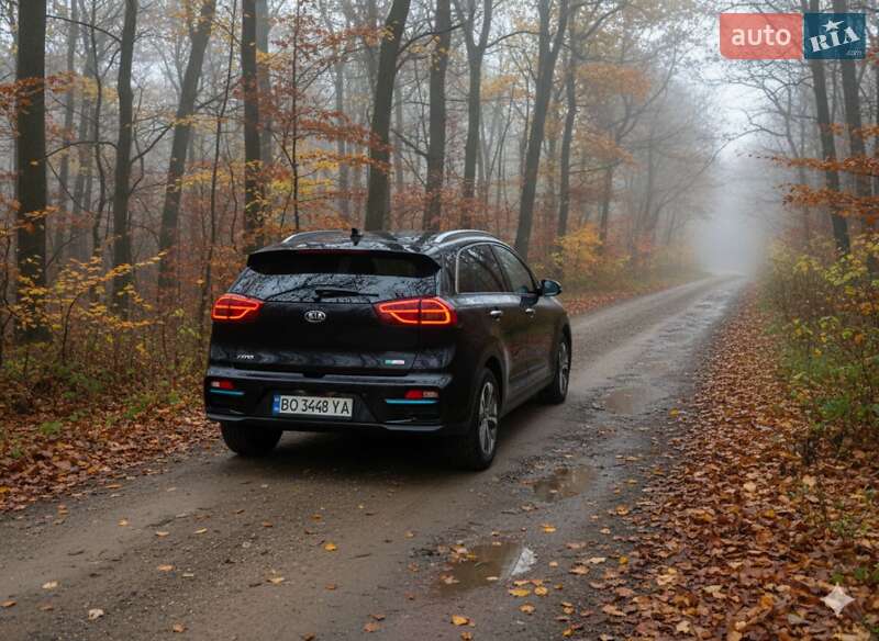 Внедорожник / Кроссовер Kia Niro 2020 в Гусятине