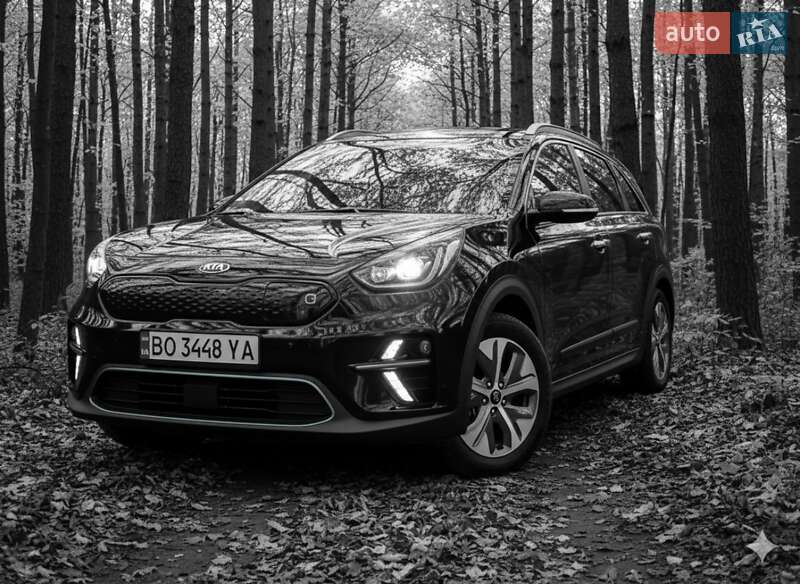 Внедорожник / Кроссовер Kia Niro 2020 в Гусятине