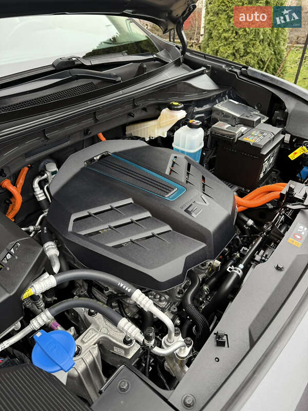 Внедорожник / Кроссовер Kia Niro 2021 в Казатине фото 87 Внедорожник / Кроссовер Kia Niro 2021 в Казатине