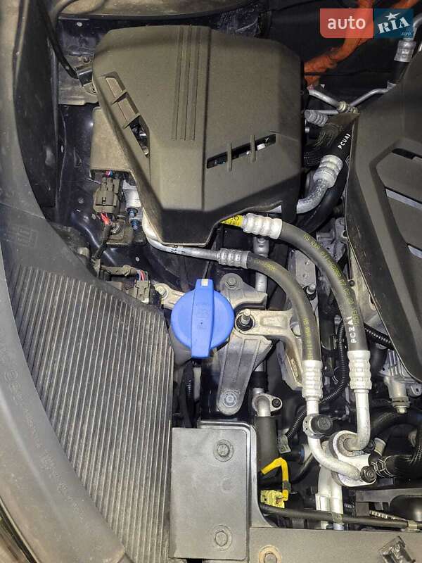 Позашляховик / Кросовер Kia Niro 2020 в Львові фото 45 Позашляховик / Кросовер Kia Niro 2020 в Львові