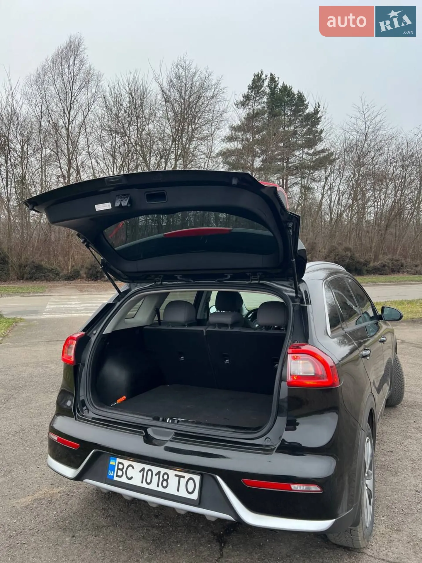 2017 Kia Niro - мініатюра 11