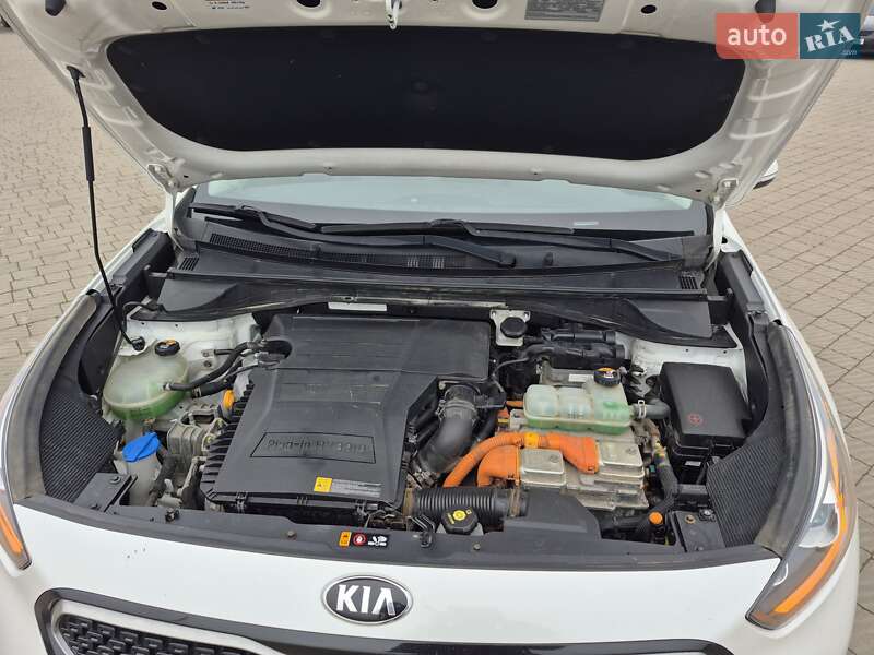 Внедорожник / Кроссовер Kia Niro 2019 в Владимире фото 31 Внедорожник / Кроссовер Kia Niro 2019 в Владимире