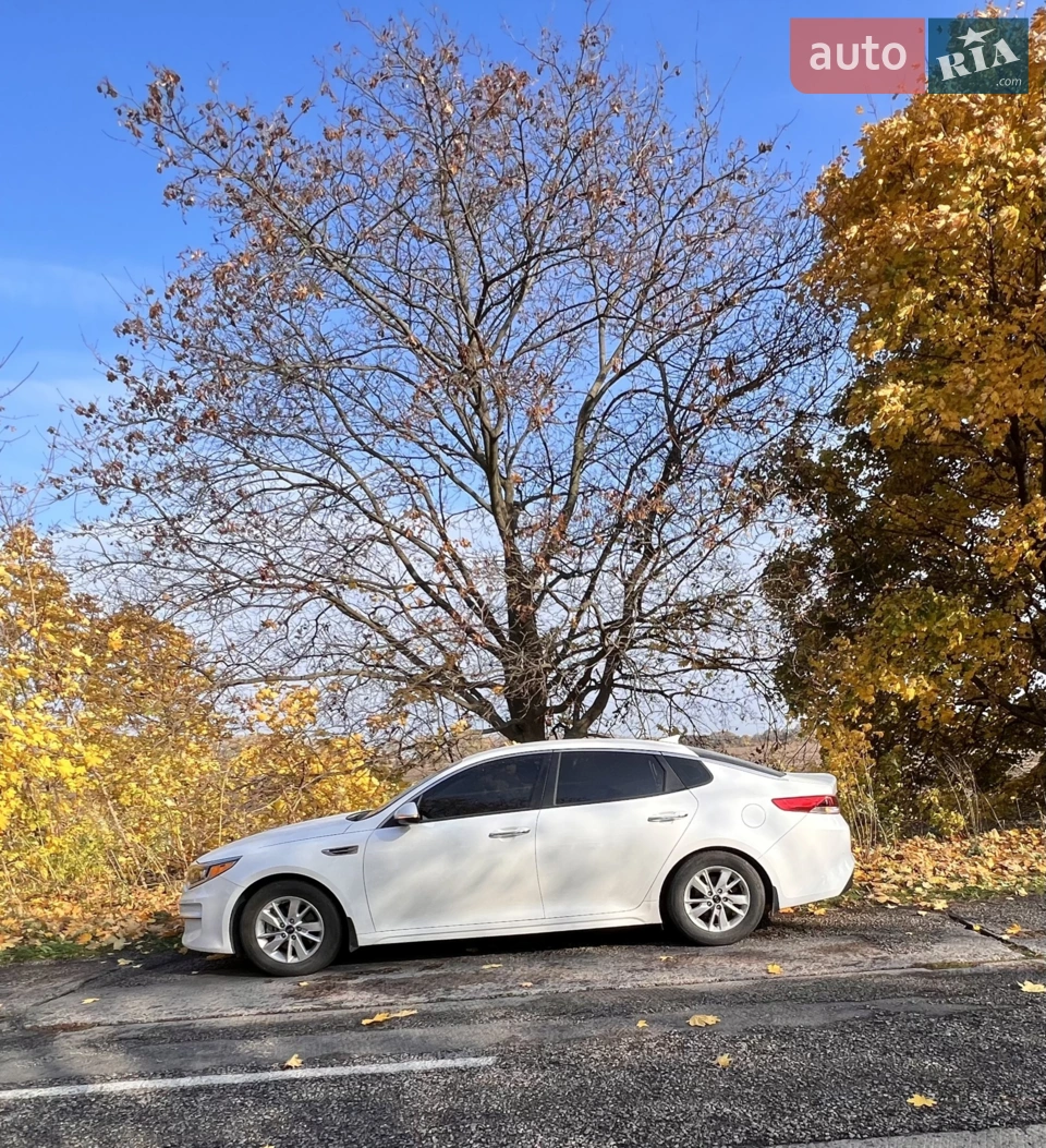 2016 Kia Optima - мініатюра 22