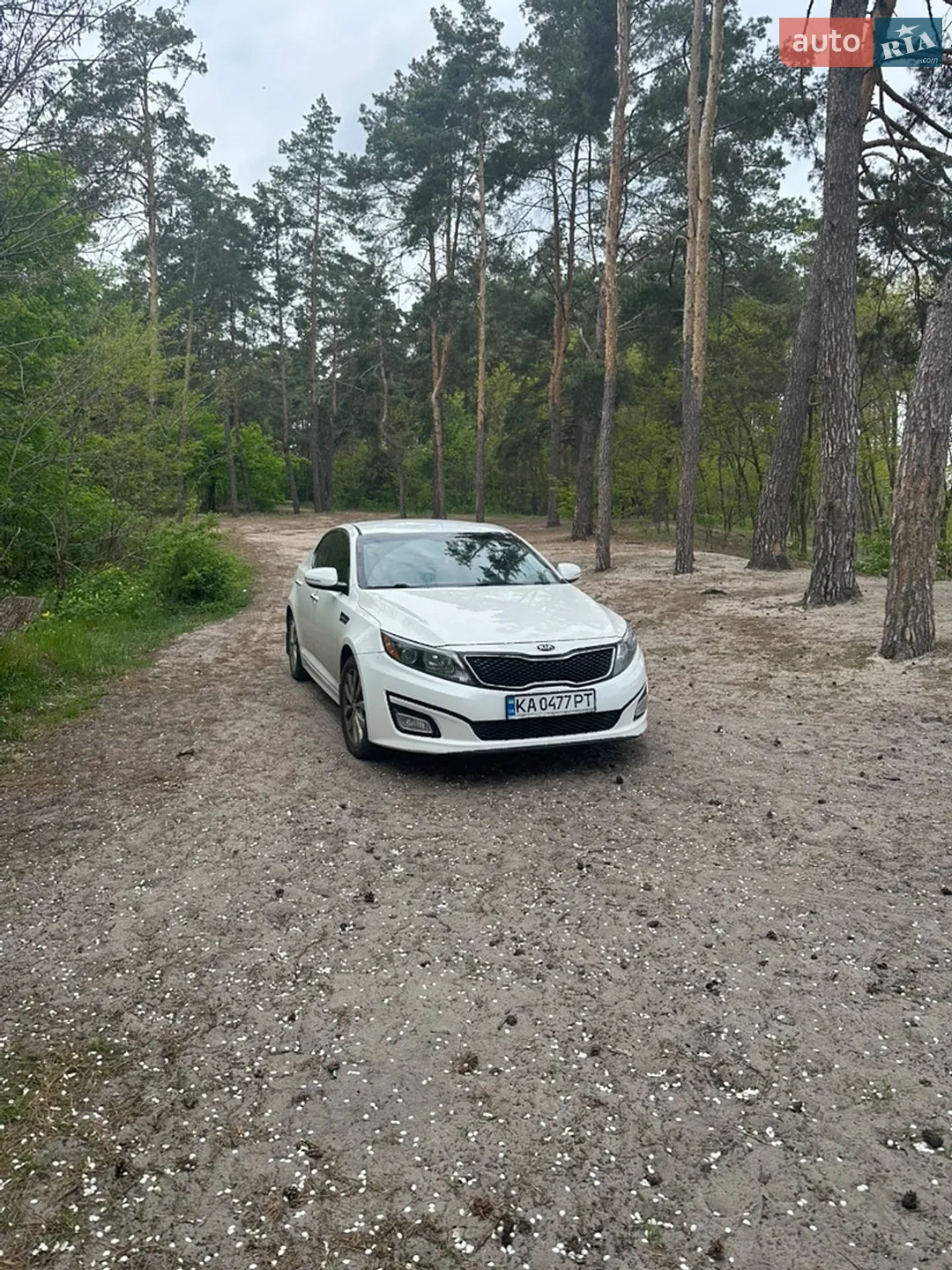2015 Kia Optima - мініатюра 13