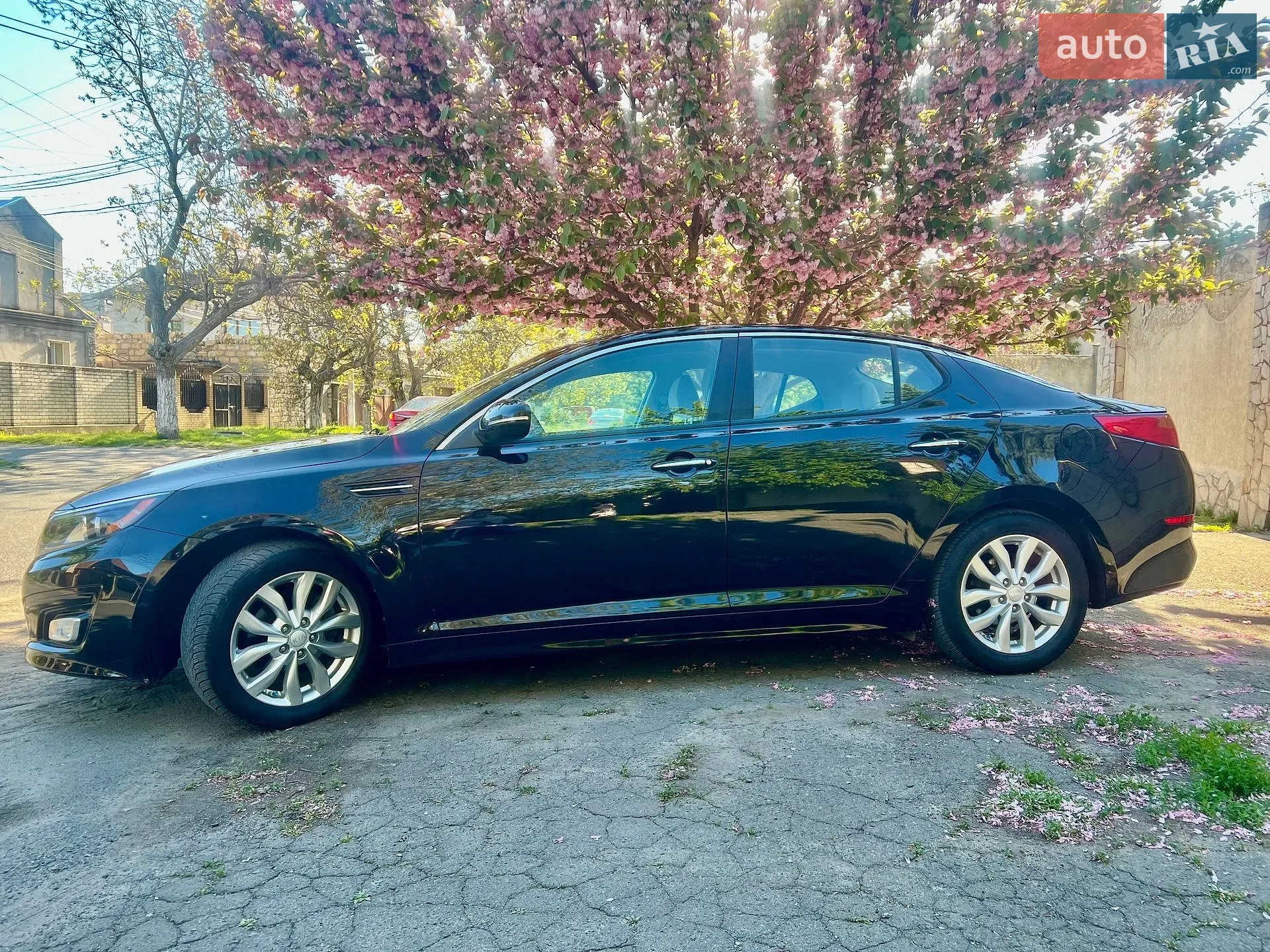 2015 Kia Optima - мініатюра 5