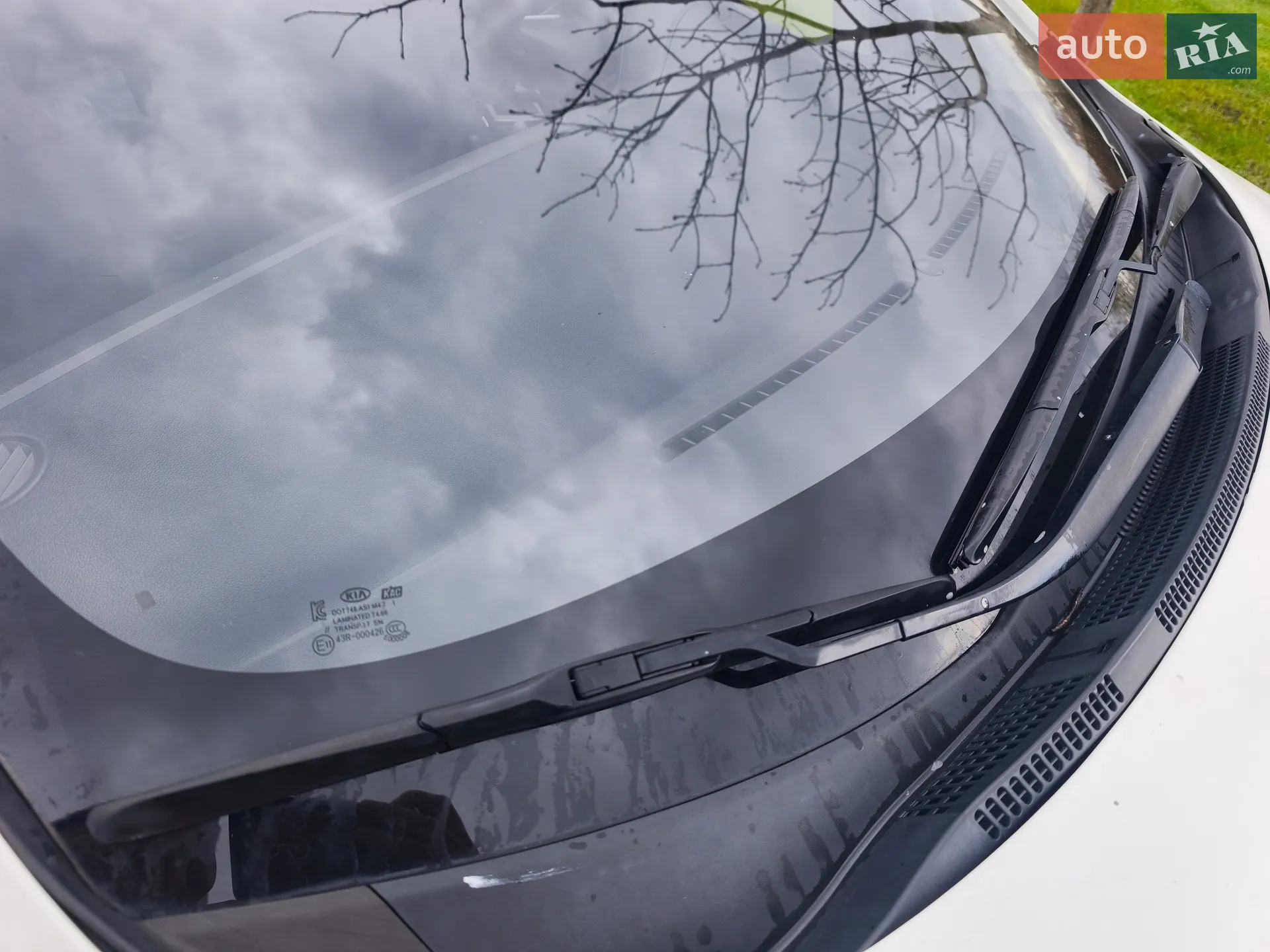 2015 Kia Rio - мініатюра 13