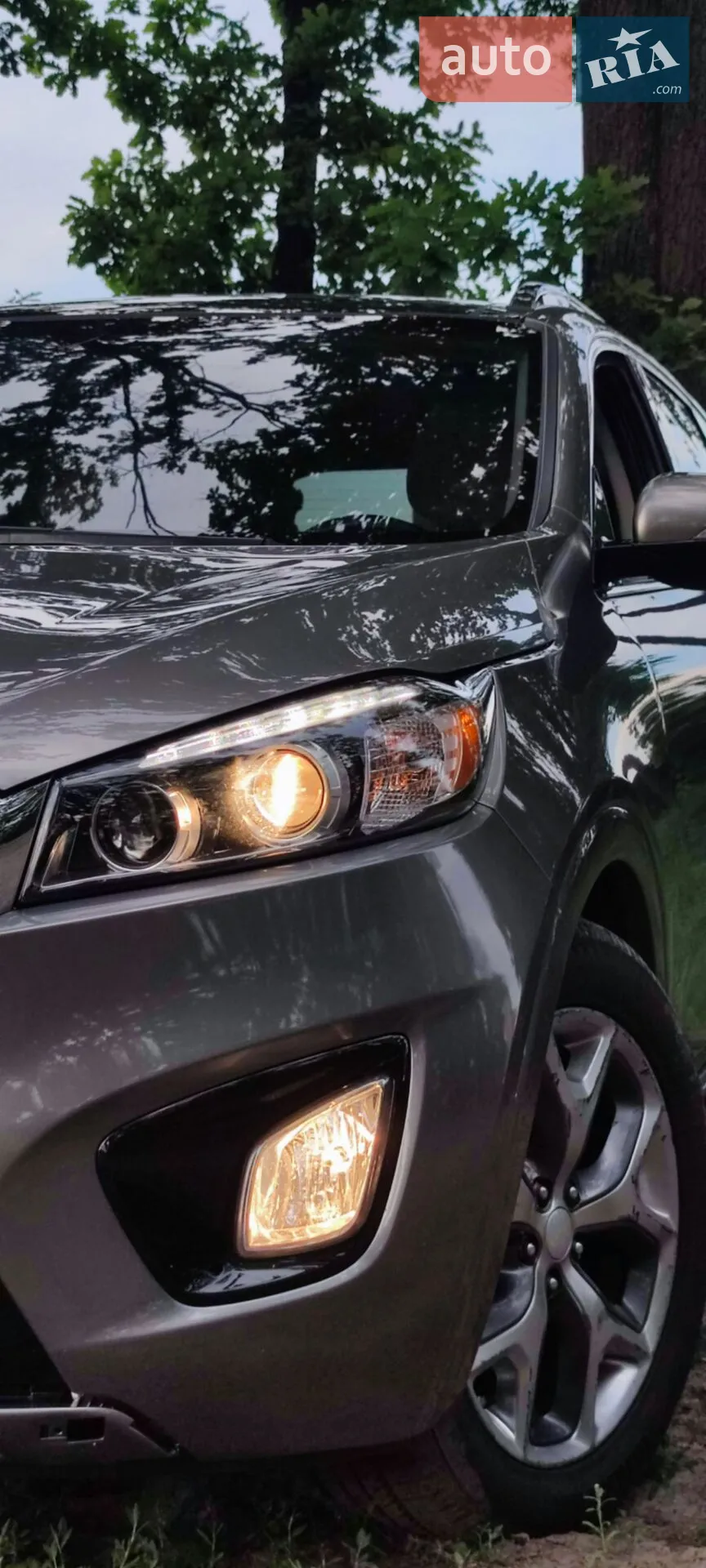 2016 Kia Sorento - мініатюра 12