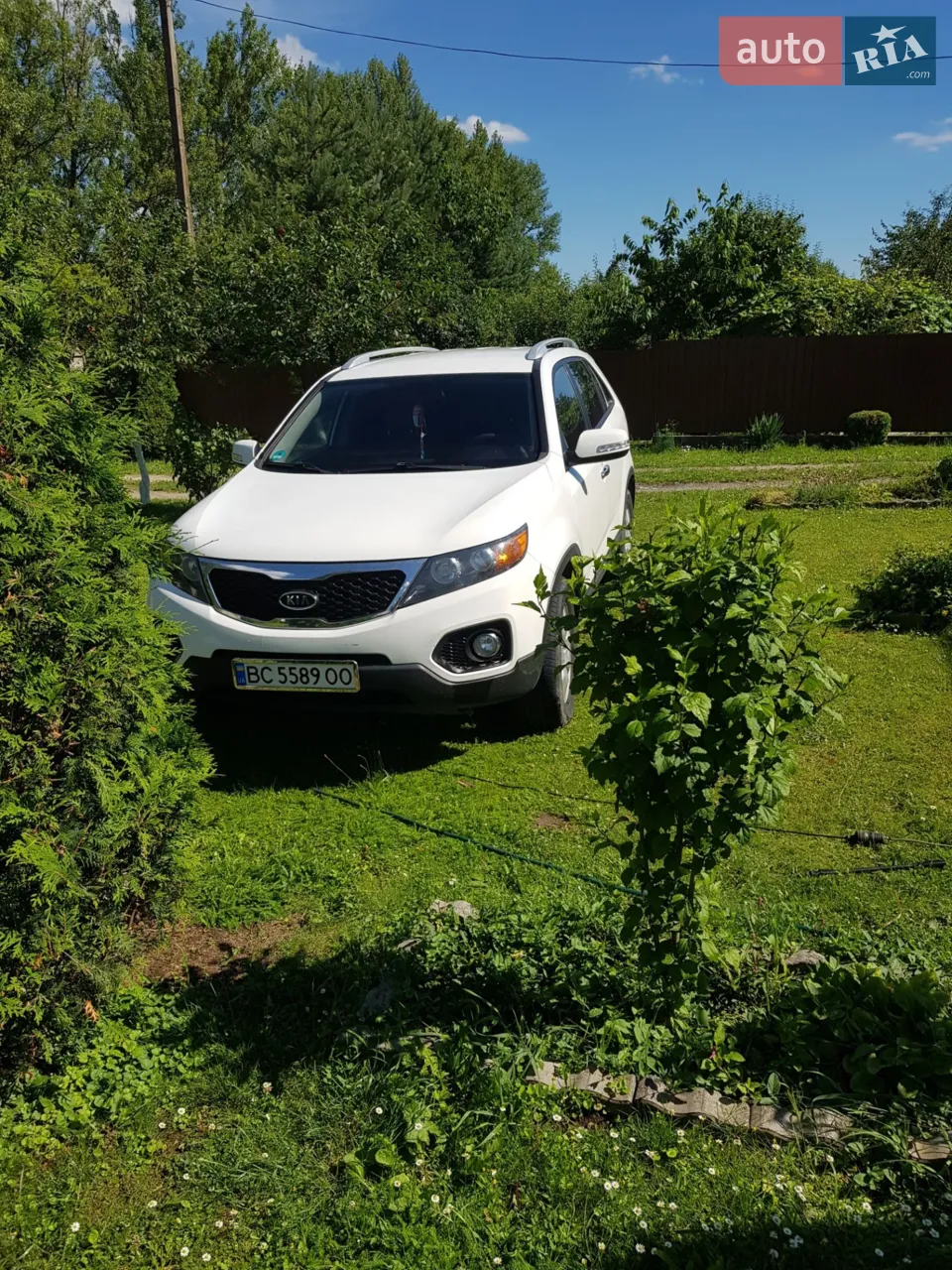 2010 Kia Sorento - мініатюра 22