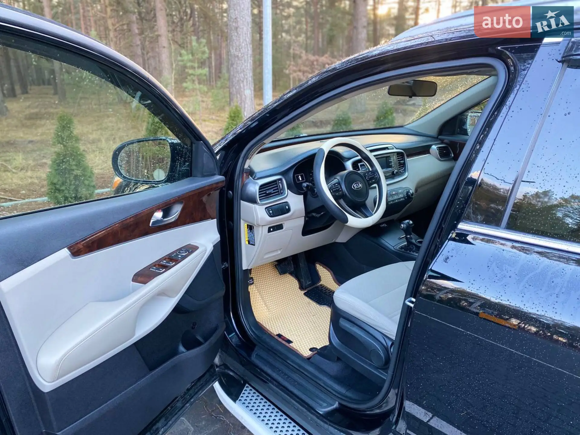 2015 Kia Sorento - мініатюра 11