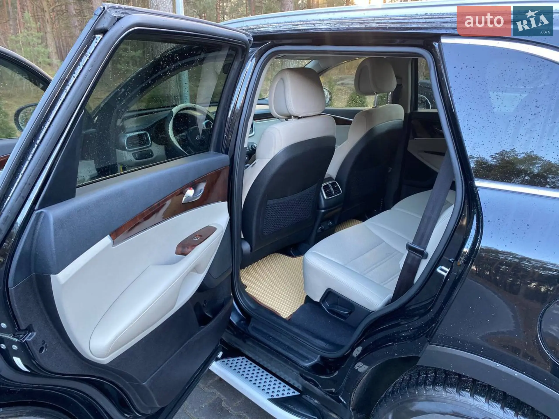 2015 Kia Sorento - мініатюра 20