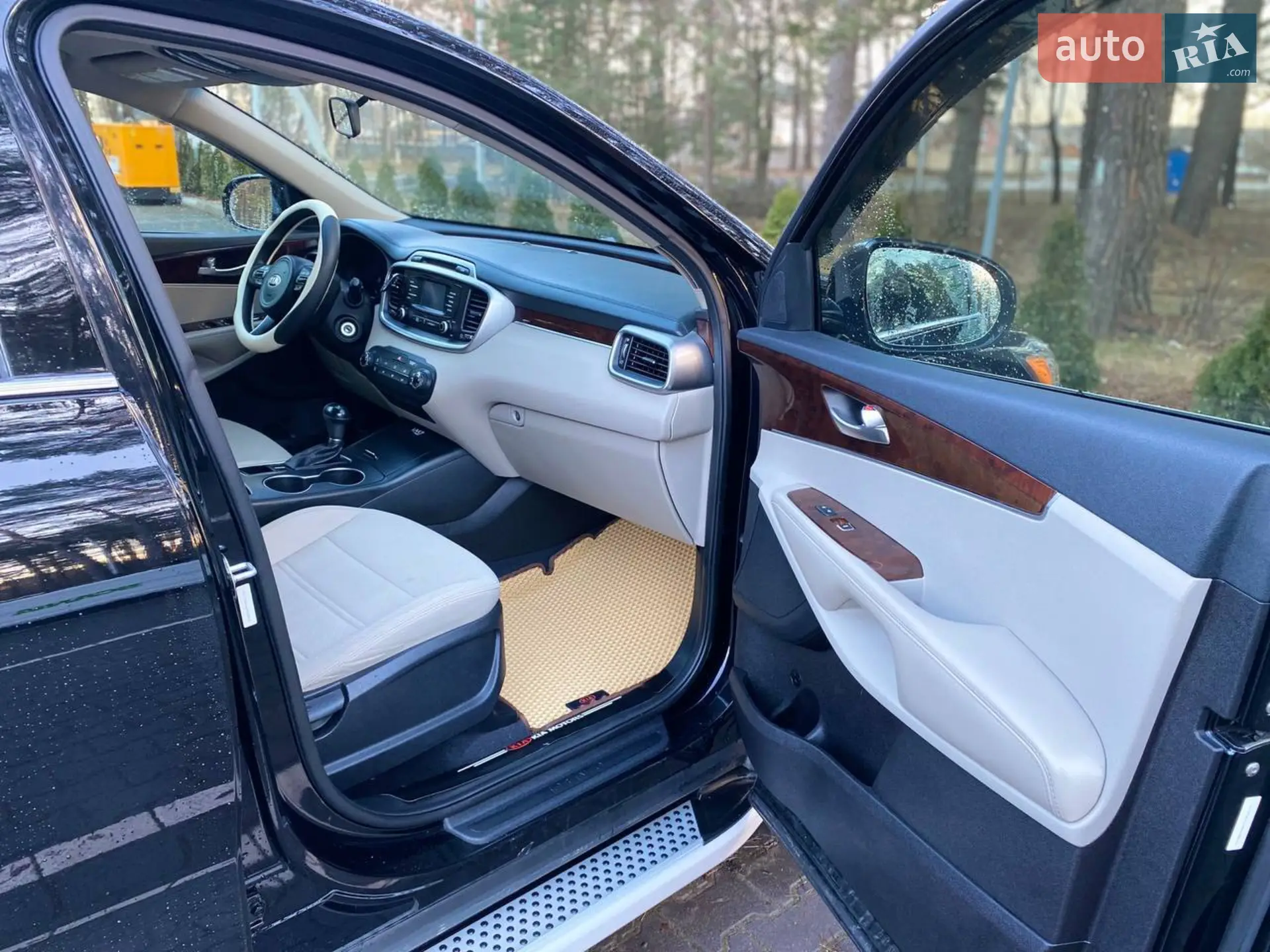 2015 Kia Sorento - мініатюра 19